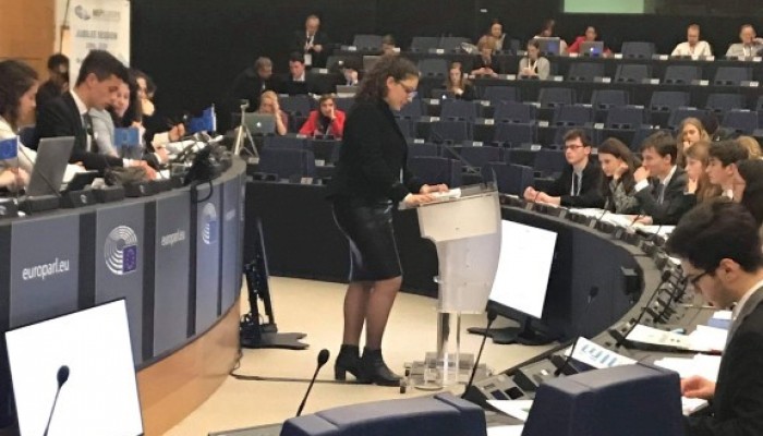 News /MEP - The Model European Parliament 