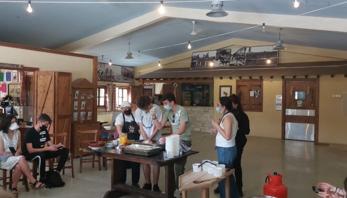 Day 2  Activities - Donkey Farm
