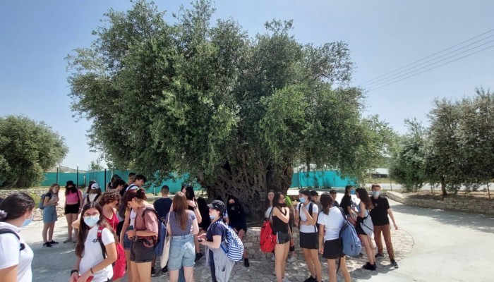 Day 2  Activities - Donkey Farm