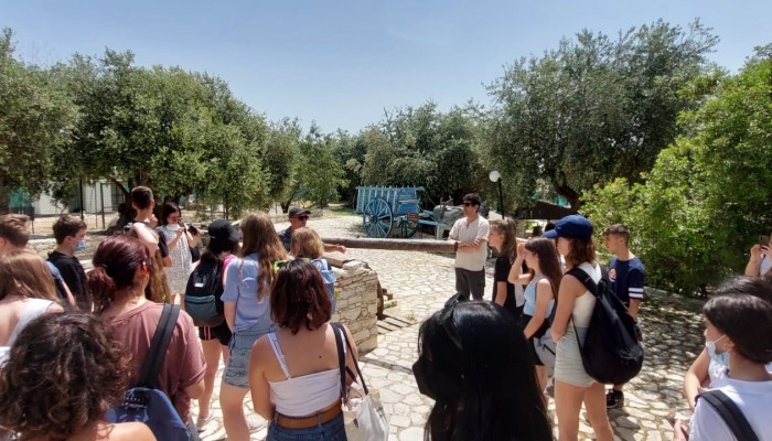 Day 2  Activities - Donkey Farm