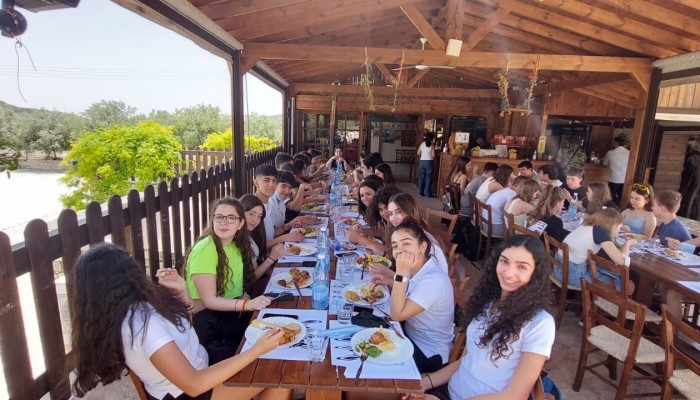 Day 2  Activities - Donkey Farm