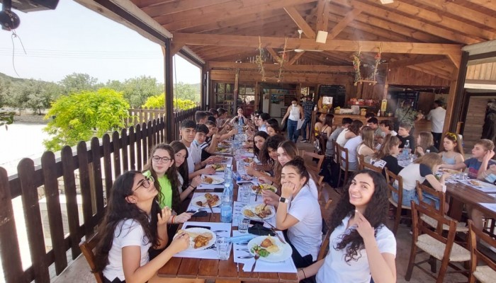 Day 2  Activities - Donkey Farm