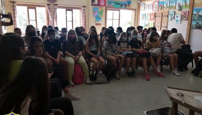 Day 2  Activities - Donkey Farm
