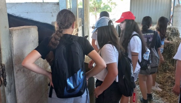 Year 2 Educational Trip